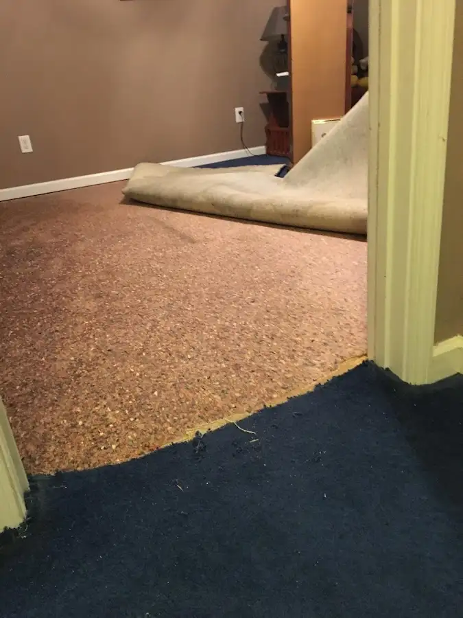 Carpet pad removal revealing water damage during Water Mitigation Services in Lexington